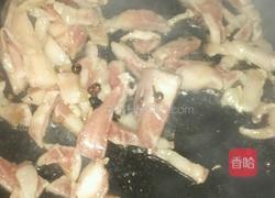 猪肉白菜炖粉条的做法图解4