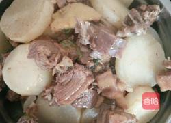 萝卜焖鸭的做法图解6