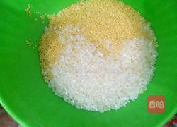 大小米粥的做法图解2