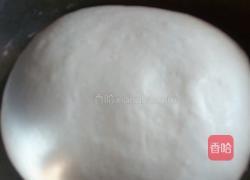 椒盐玫瑰花卷的做法图解1