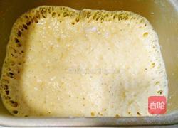 南瓜小猪猪的做法图解6