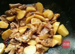 土豆炖鸡肉的做法图解7