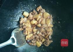 土豆炖鸡肉的做法图解9