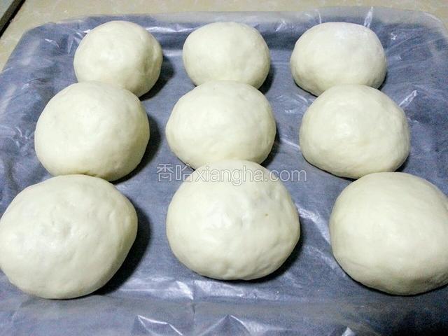将发酵好的面团取出