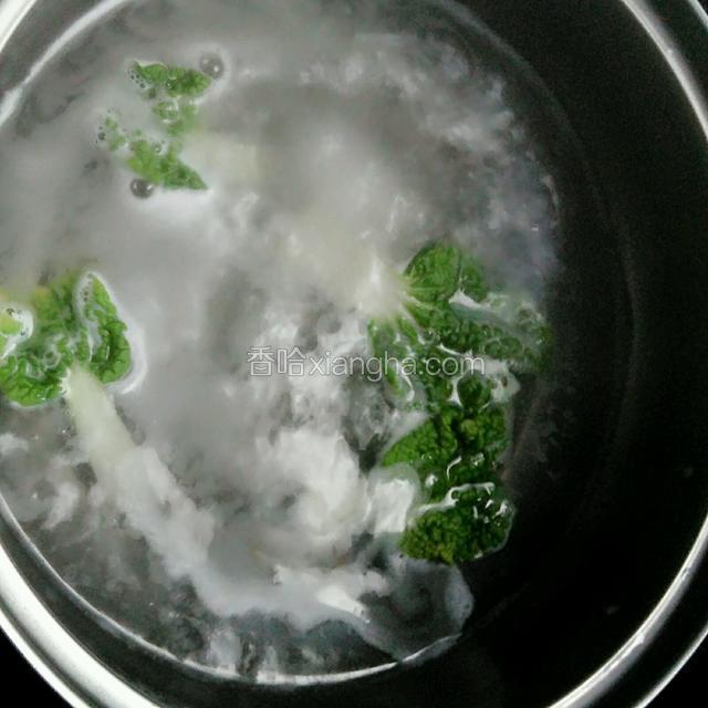 青菜叶放入开水锅里烫一下