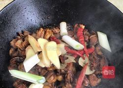 红烧牛肉的做法图解3