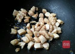 番茄汁烧鸡肉丁的做法图解6