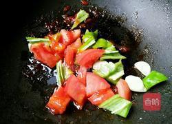 番茄汁烧鸡肉丁的做法图解8