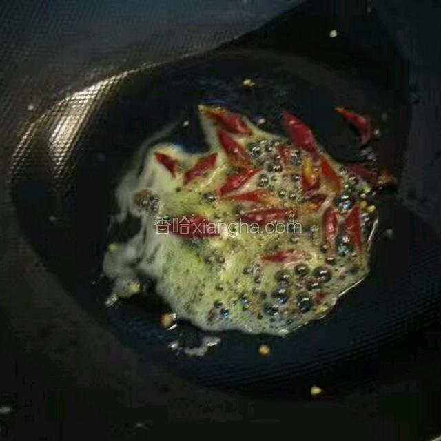 热油烧锅，爆香干辣椒和花椒粒儿；