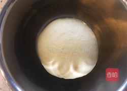 玉米面包的做法图解6