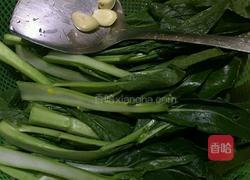 蒜蓉菜心的做法图解1