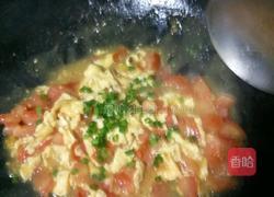 西红柿炒蛋盖饭的做法图解5