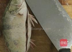 砂锅煲桂鱼面汤的做法图解1