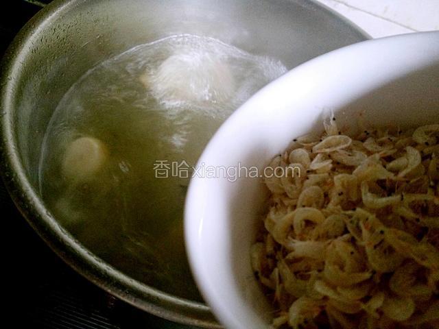 炖制50分钟后在放虾皮煮5分钟左右