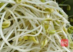 麻辣黄豆芽的做法图解1
