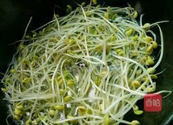 麻辣黄豆芽的做法图解2