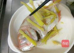 清蒸红立鱼的做法图解6