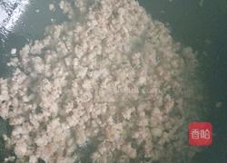 马齿苋饺子的做法图解6