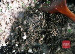 马齿苋饺子的做法图解8