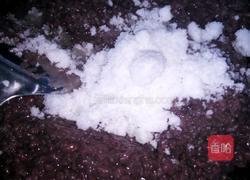 红豆沙(祛湿健脾版)的做法图解4