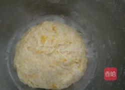发酵南瓜煎饼的做法图解1
