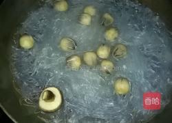 肉末粉丝娃娃菜的做法图解2