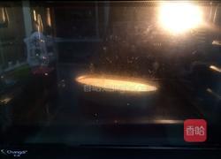 乳酪蛋糕的做法图解16