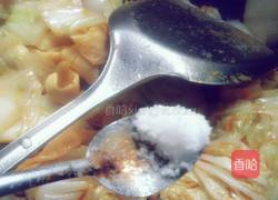 豆结烧白菜的做法图解11