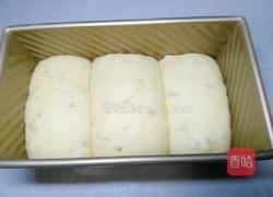 玉米面葵花籽土司的做法图解10