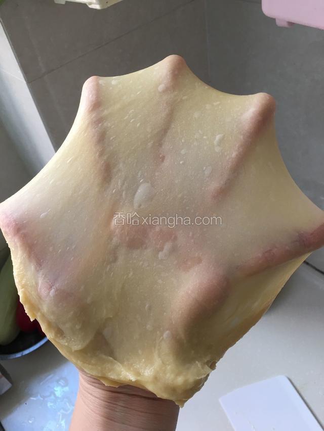 十分钟后取出面团继续摔打十分钟就可以出薄膜了