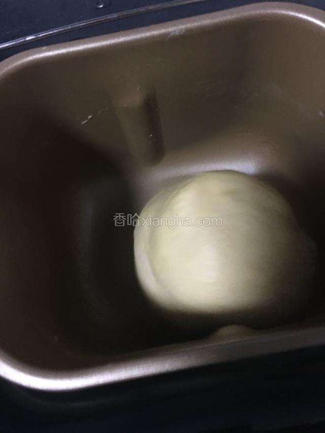 发硣至两倍大后启动面包机揉面十分钟，给面团排气