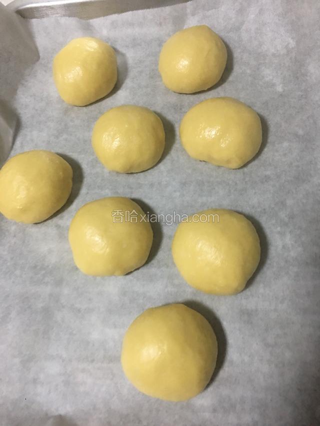 排好气后把面团分成大小一致的小面团醒30分钟