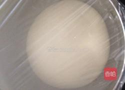 牛角肉松面包的做法图解4