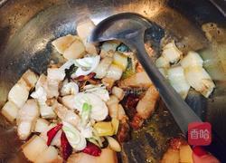 红烧肉炖土豆的做法图解6