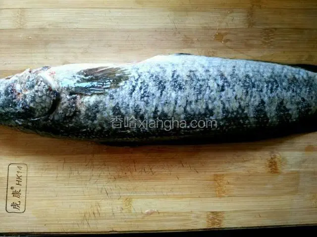 准备一条新鲜的黑鱼～