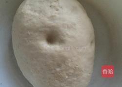 羊肉胡萝卜包子的做法图解12