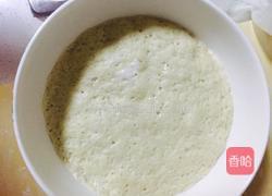 白菜芹菜胡萝卜肉馅包子的做法图解5