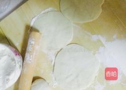 白菜芹菜胡萝卜肉馅包子的做法图解7