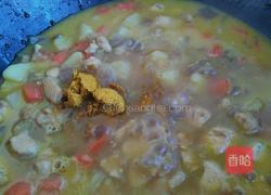 咖喱鸡肉小海豚饭团的做法图解15