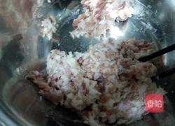 猪肉西葫芦锅贴的做法图解3