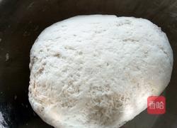 猪肉西葫芦锅贴的做法图解9