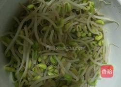 黄豆芽炒粉的做法图解2