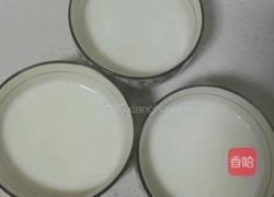 双皮奶的做法图解2