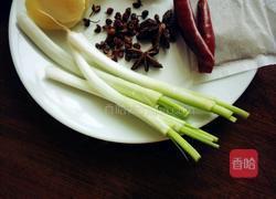 红烧牛肉的做法图解3