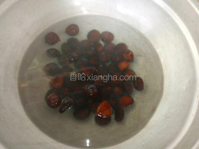 把板栗倒入锅中，加没过板栗的清水，少许盐，开火煮沸。在煮十分钟即可