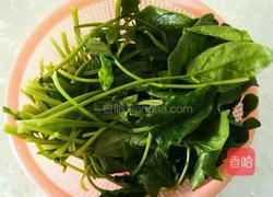 白菜(百财)饺子的做法图解1