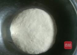 黄蒜苗(韭黄)肉馅饺子(家常蒸饺)的做法图解4