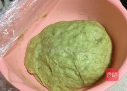 绿茶馒头的做法图解6