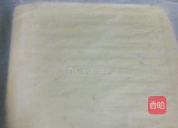 蓝莓肉松蛋糕卷的做法图解18