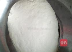 芹菜虾饺的做法图解5